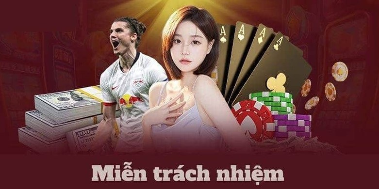 Chính sách pháp lý và những quy định liên quan đến miễn trách nhiệm