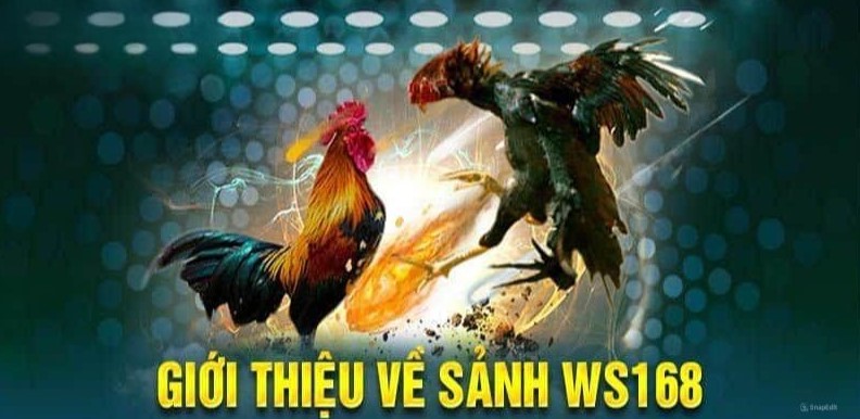 Tổng quan về nền tảng ws168