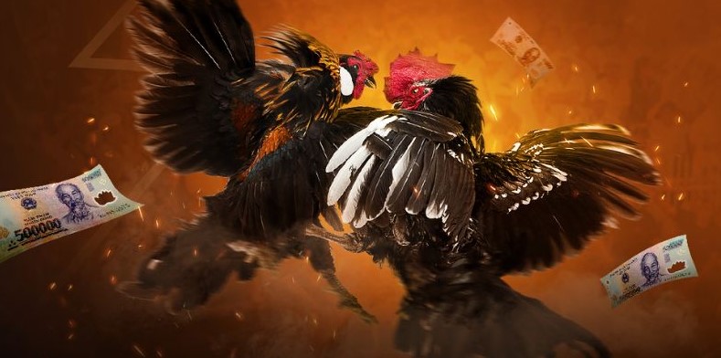 Ws168 hoạt động hợp pháp